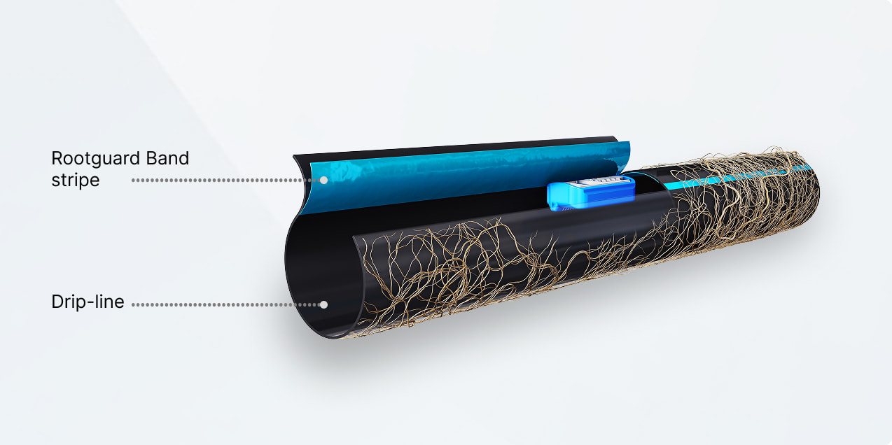 הגנה בכל טיפה