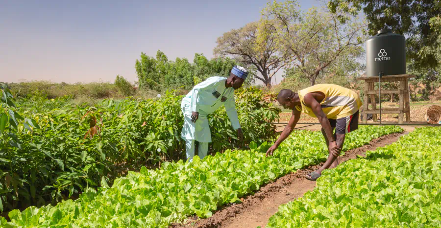 רתימת כוח הכבידה לטובת חלקות משפחתיות קטנות