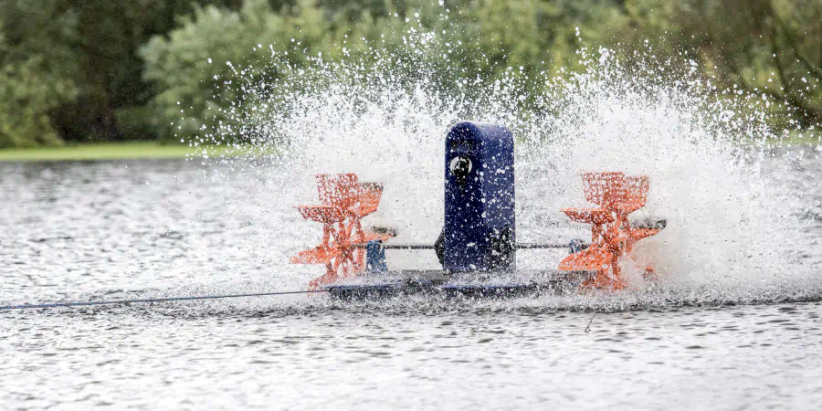 הזנה והשקיה ברות קיימא ישירות לבית השורשים 
