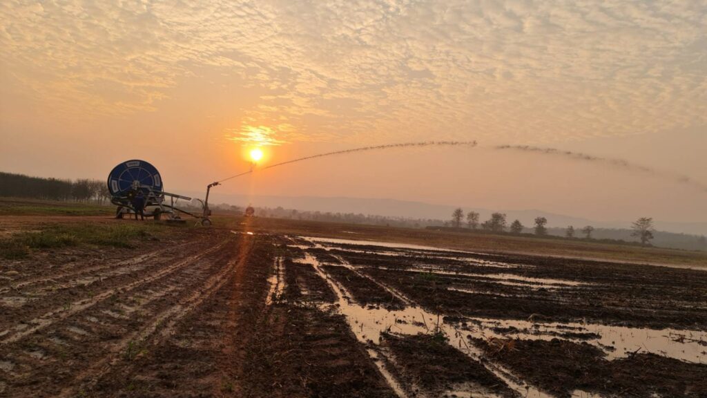 ניהול ובקרת אוויר במערכות השקיה בצינור גלילה