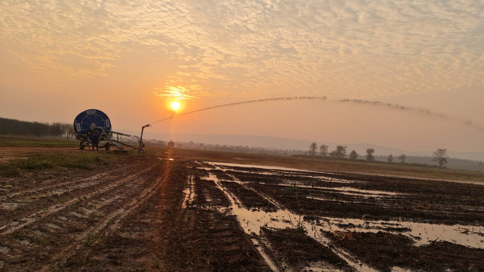 ניהול ובקרת אוויר במערכות השקיה בצינור גלילה