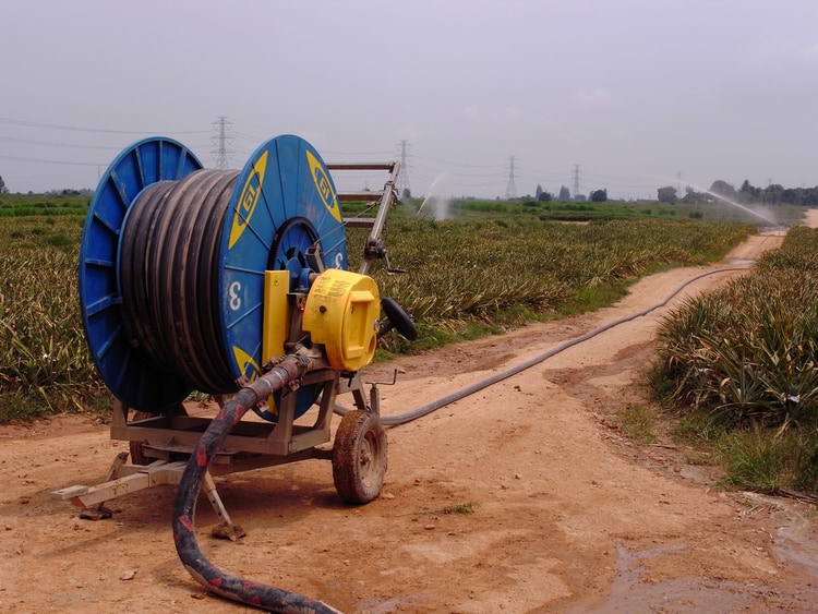 השקיה ברצועות יעילה בשדות משופעים