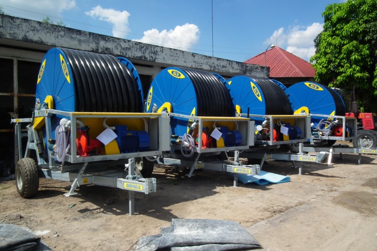 השקיה מהירה לקני סוכר