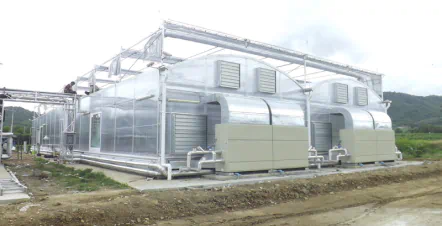 עיבוד מדויק בחממת צמח האם של היקב