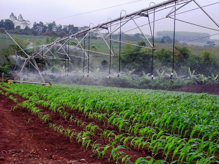פריסת Pivot לרפת הגדולה במדינה
