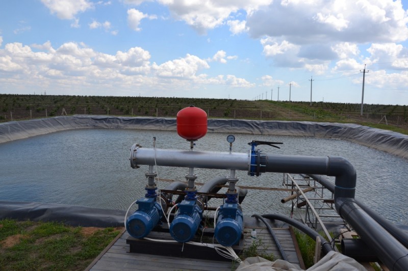 מערכת השקיה מתקדמת למטע אגוזי לוז באוקראינה