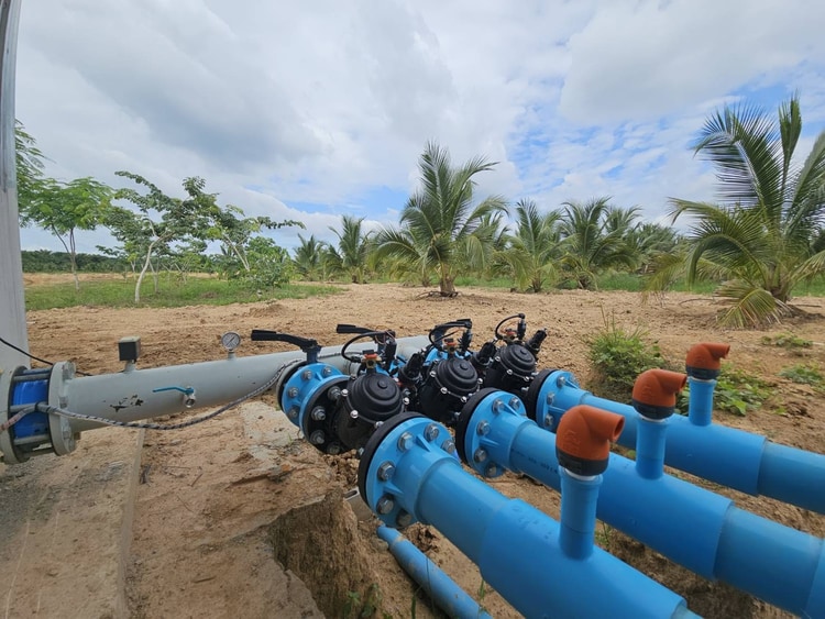 השקיה מדויקת לשני גידולים